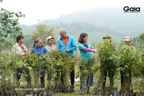 Giám đốc Trung tâm Bảo tồn Thiên nhiên Gaia (phải), Cán bộ KBTTN Xuân Liên (giữa) cùng người dân địa phương bắt đầu trồng rừng. Đồng bào tại đây là lực lượng chính trồng toàn bộ số cây tại rừng Xuân Liên