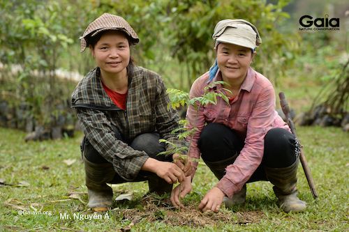 Người dân địa phương chính là lực lượng chính trồng rừng Xuân Liên 2021