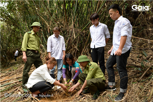 Gaia cùng các bạn trẻ doanh nghiệp và cán bộ Vườn Quốc gia Bến En  kết nối khi trồng rừng