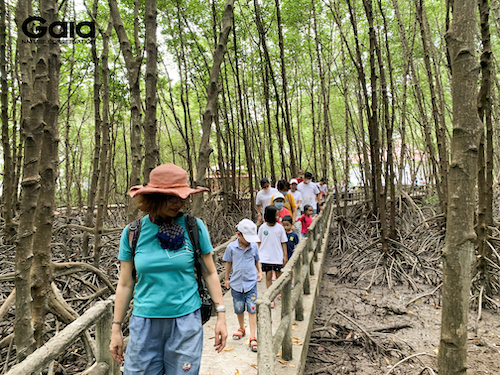 Rừng Cần Giờ được ví như lá phổi xanh của Thành phố Hồ Chí Minh với nhiều chức năng sinh thái quan trọng