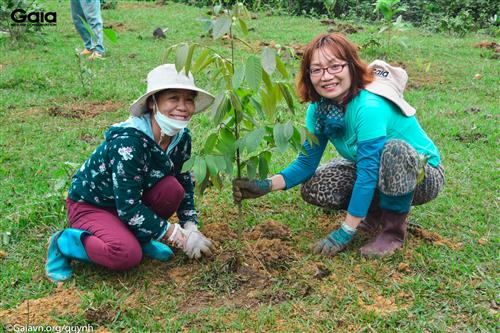 Bà Đỗ Thị Thanh Huyền- Nhà Sáng lập- Giám đốc Trung tâm Bảo tồn Thiên nhiên gia trồng cây khôi phục rừng đầu nguồn tại Khu Bảo tồn Thiên nhiên Xuân Liên cùng người dân địa phương và cán bộ Vườn Quốc gia