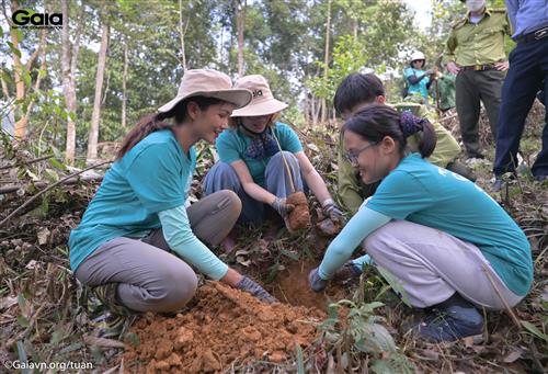 H’Hen Niê cùng các bạn trẻ trồng cây phục hồi rừng nghèo kiệt