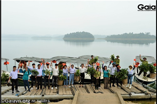 Hào hứng vận chuyển cây giống xuống thuyền, ra đảo trồng rừng