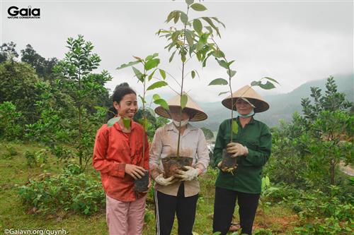Người dân địa phương trồng rừng Xuân Liên