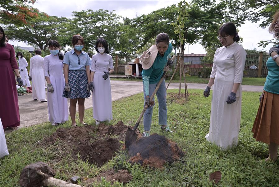 Một cảnh khu vực trồng cây tại trường THPT Nguyễn Văn Tăng.