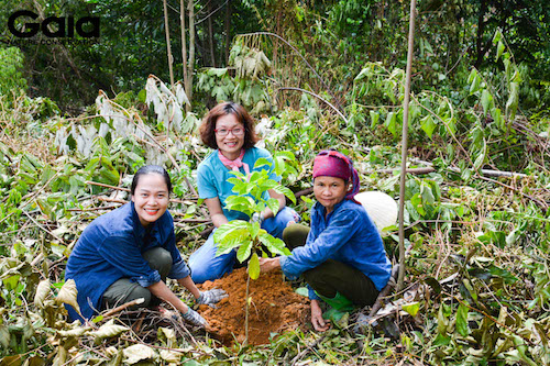 MC Thái Minh Châu trồng cây cùng người dân địa phương