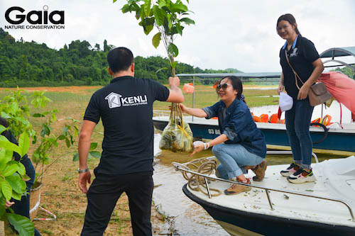 MC Thái Minh Châu cùng nhân viên Kenli bưng cây xuống thuyền