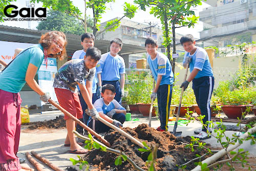 Học sinh háo hức trồng cây