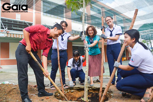 Giám đốc Gaia trồng cây cùng giáo viên và học sinh trường Nguyễn Hữu Huân