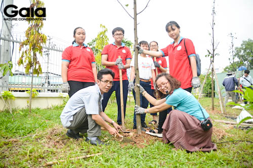 Hứng khởi vì trồng thêm cây xanh cho ngôi trường mình học