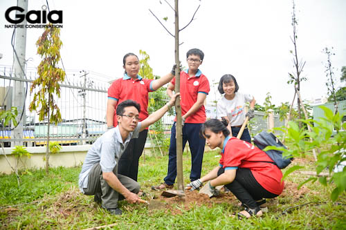 Hứng khởi vì trồng thêm cây xanh cho ngôi trường mình học
