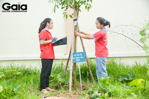 Các bạn học sinh tham gia giám sát cây sau khi trồng