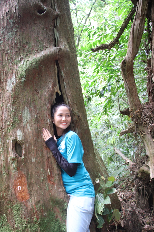 Hoa hậu H'Hen Niê đắm chìm vào không gian thiên nhiên xanh mát giữa Rừng cây hạt trần