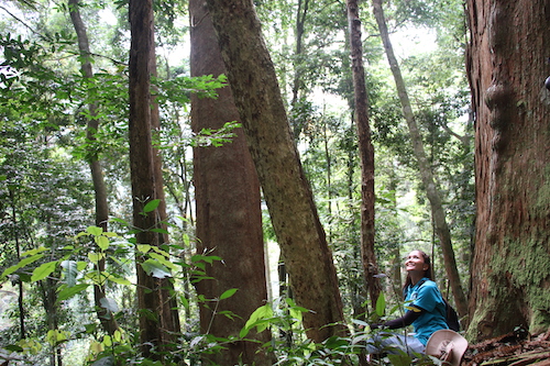 Hoa hậu H'Hen Niê đắm chìm vào không gian thiên nhiên xanh mát giữa Rừng cây hạt trần
