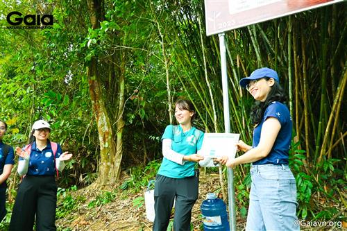 i diện Trung tâm Bảo tồn Thiên nhiên Gaia trao Giấy chứng nhận trồng rừng cho Đại diện VNPAY .