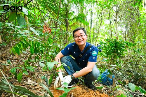 Hăng say trồng cây gỗ quý hiếm tại Vườn quốc gia Bến En