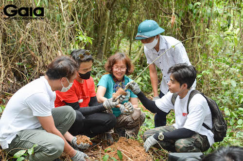 Jun Phạm, Quang Bảo, đại diện Gaia và Vườn quốc gia Bến En trồng cây mẫu