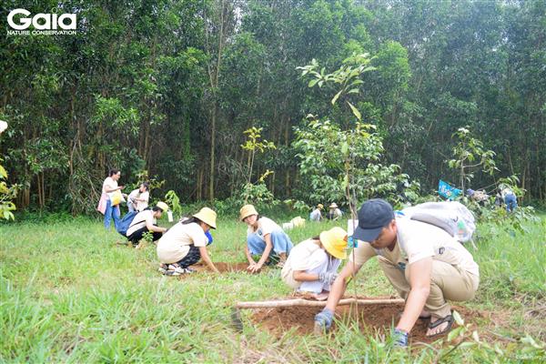 Một cảnh trồng rừng tại Khu Bảo tồn Thiên nhiên Văn hóa Đồng Nai.