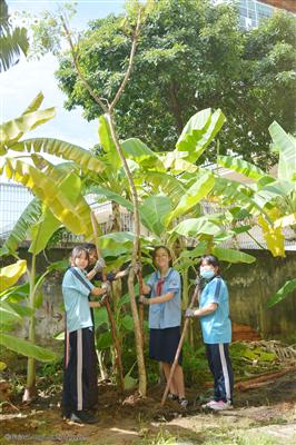 Các em học sinh khối 7 bên cái cây mình vừa trồng.