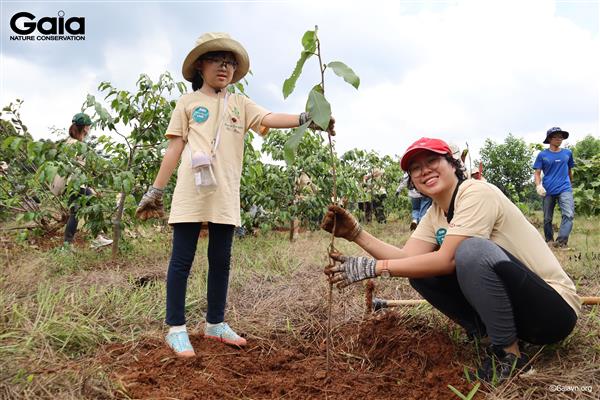Hào hứng trồng cây gỗ bản địa tại rừng Đồng Nai.