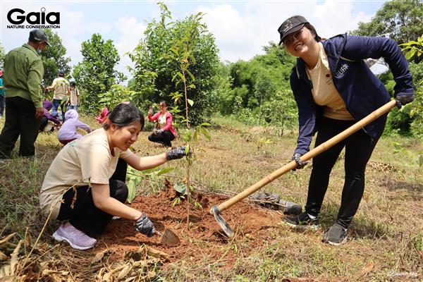 Hào hứng trồng cây gỗ bản địa tại rừng Đồng Nai.