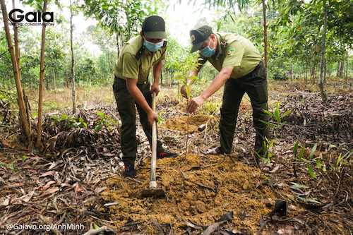 Các cán bộ Kiểm lâm thuộc Khu Bảo tồn Thiên nhiên Văn hóa Đồng Nai đang cùng nhau tiến hành trồng cây