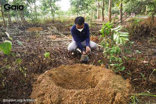 Cán bộ Ban Quản lí  Khu Bảo tồn Thiên nhiên Văn hóa Đồng Nai đang đang tham gia trồng cây