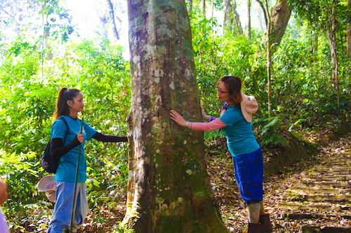 Hoa hậu Hoàn vũ H'hen Niê cùng chị Huyền Đỗ - Giám đốc, nhà sáng lập Trung tâm Bảo tồn Thiên nhiên Gaia trò chuyện giữa khu rừng cây hạt trẩn