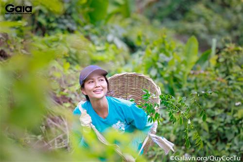 Hoa hậu H'Hen Nie hào hứng gùi cây 