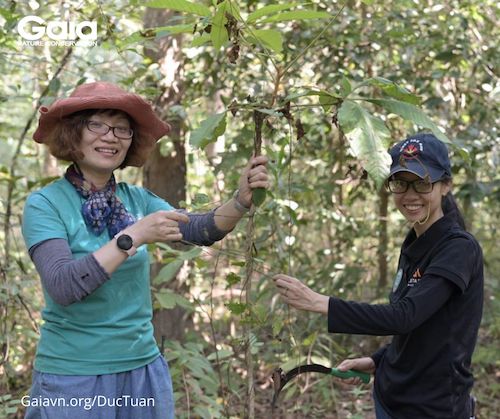 Cùng chị Thanh Trúc - Talent Acquisition Manager tại Adstart Media tiến hành chăm sóc rừng