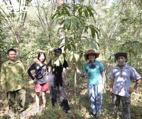 Chị Huyền Đỗ, nhân sự Adstart Media và Cán bộ Ban Quản lí Rừng Đồng Nai cùng chụp hình lưu niệm bên một cây xanh lớn mạnh