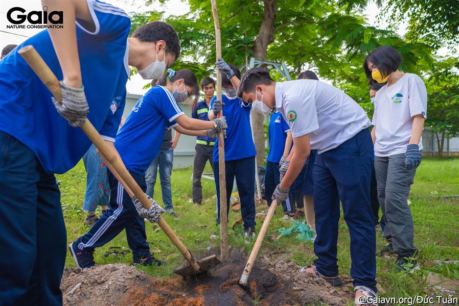 Học sinh hào hứng trồng cây cho trường học thêm xanh.  