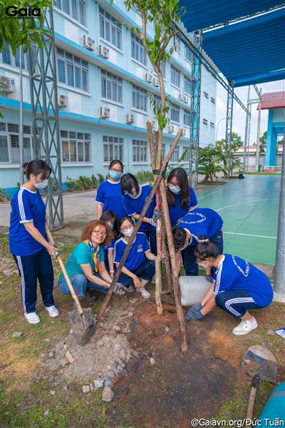 Học sinh hào hứng trồng cây cho trường học thêm xanh. 