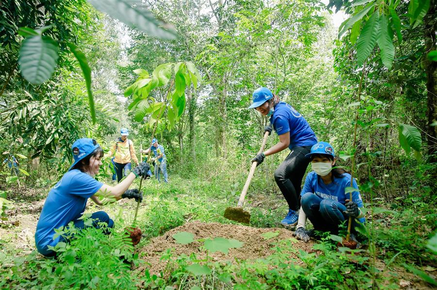 Cây xanh và môi trường sống