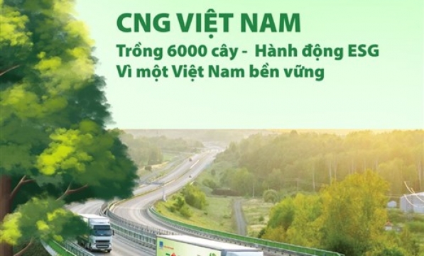 CNG Việt Nam hợp tác cùng Gaia trồng 6.000 cây xanh, góp phần phục hồi rừng và ứng phó biến đổi khí hậu
