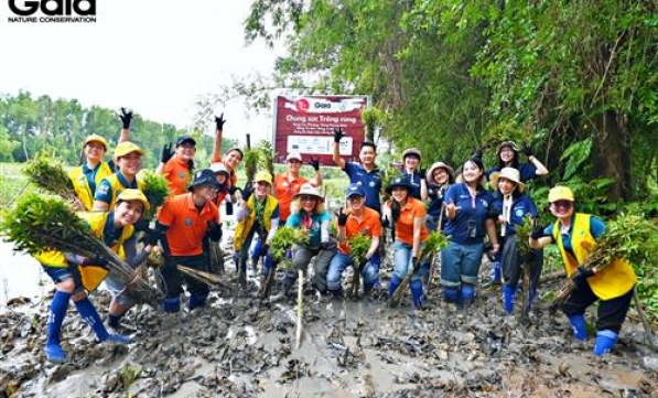 TRỒNG 62.000 CÂY GÓP PHẦN GIẢM THIỆT HẠI THIÊN TAI BÃO LŨ