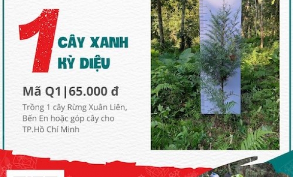 TẶNG QUÀ TẶNG CÂY - GIEO BÌNH AN HẠNH PHÚC