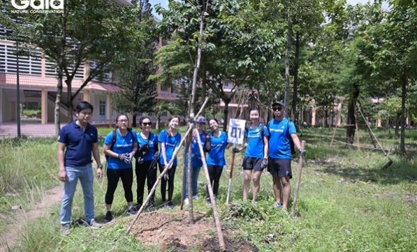 TRỒNG CÂY GỖ LỚN PHỦ XANH THÀNH PHỐ HƯỞNG ỨNG NGÀY MÔI TRƯỜNG THẾ GIỚI