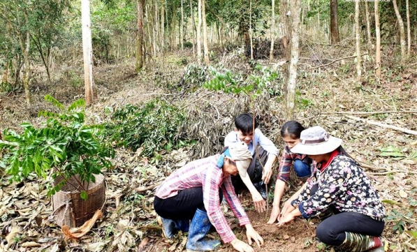 CÙNG THẾ GIỚI TRỒNG 4500 CÂY TẠI KHU BẢO TỒN THIÊN NHIÊN XUÂN LIÊN