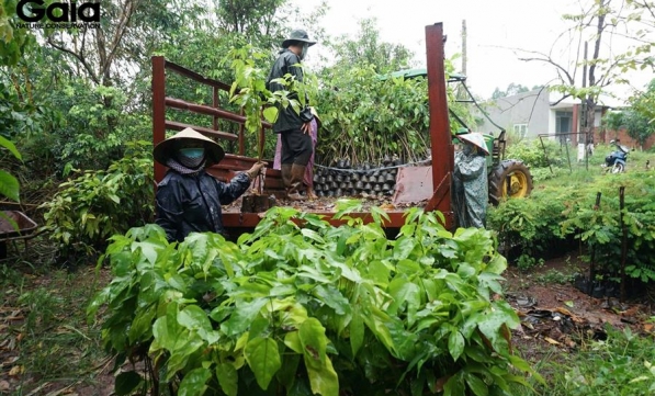 TRỒNG RỪNG ĐỒNG NAI - TẦM NHÌN XA TRONG VIỆC NGĂN NGỪA ĐẠI DỊCH