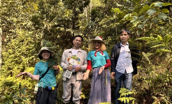 NGHIỆM THU RỪNG XUÂN LIÊN  KHẲNG ĐỊNH CAM KẾT TRỒNG RỪNG BỀN VỮNG