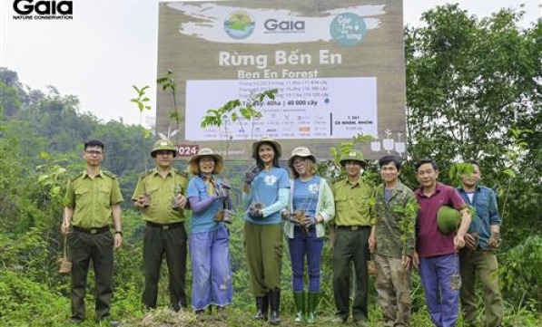 HOA HẬU H’HEN NIÊ TRỒNG RỪNG NHÂN NGÀY THẾ GIỚI TRỒNG CÂY 21.03.2024