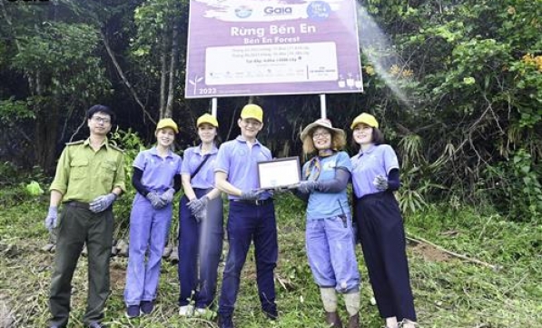 “GIEO MẦM CÂY TỪ NHỮNG BƯỚC CHÂN” - CATHAY LIFE CÙNG GAIA GÓP BƯỚC CHÂN GIỮ RỪNG 