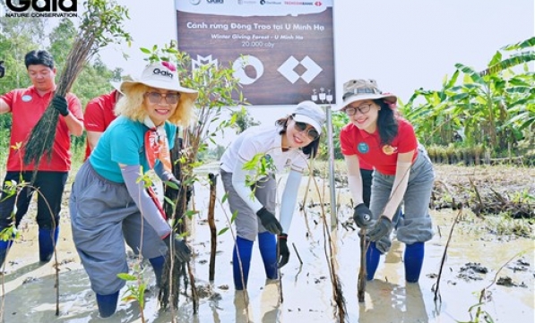 TRIỂN KHAI TRỒNG RỪNG U MINH HẠ CHUNG SỨC PHỤC HỒI RỪNG TRƯỚC ÁP LỰC THIÊN TAI