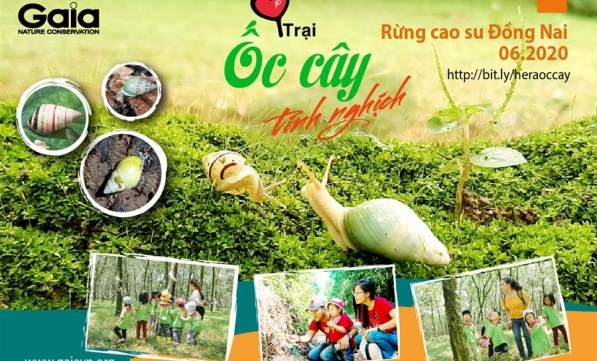 Trại Ốc cây tinh nghịch