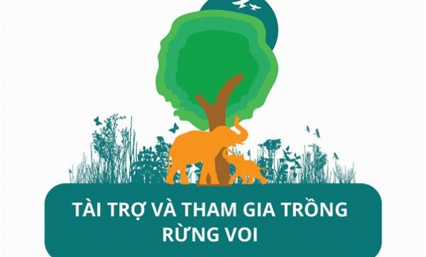 TRỒNG RỪNG VOI