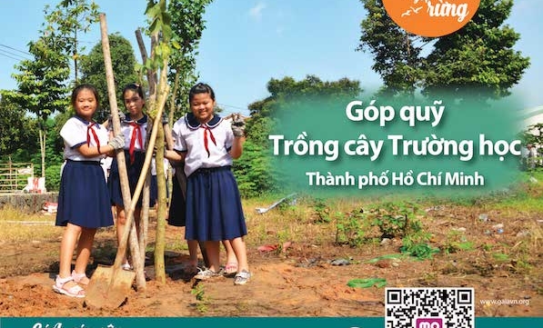 TRỒNG CÂY TRƯỜNG HỌC TẠI THÀNH PHỐ HỒ CHÍ MINH 