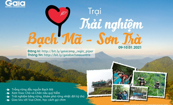 TRẠI TRẢI NGHIỆM BẠCH MÃ SƠN TRÀ